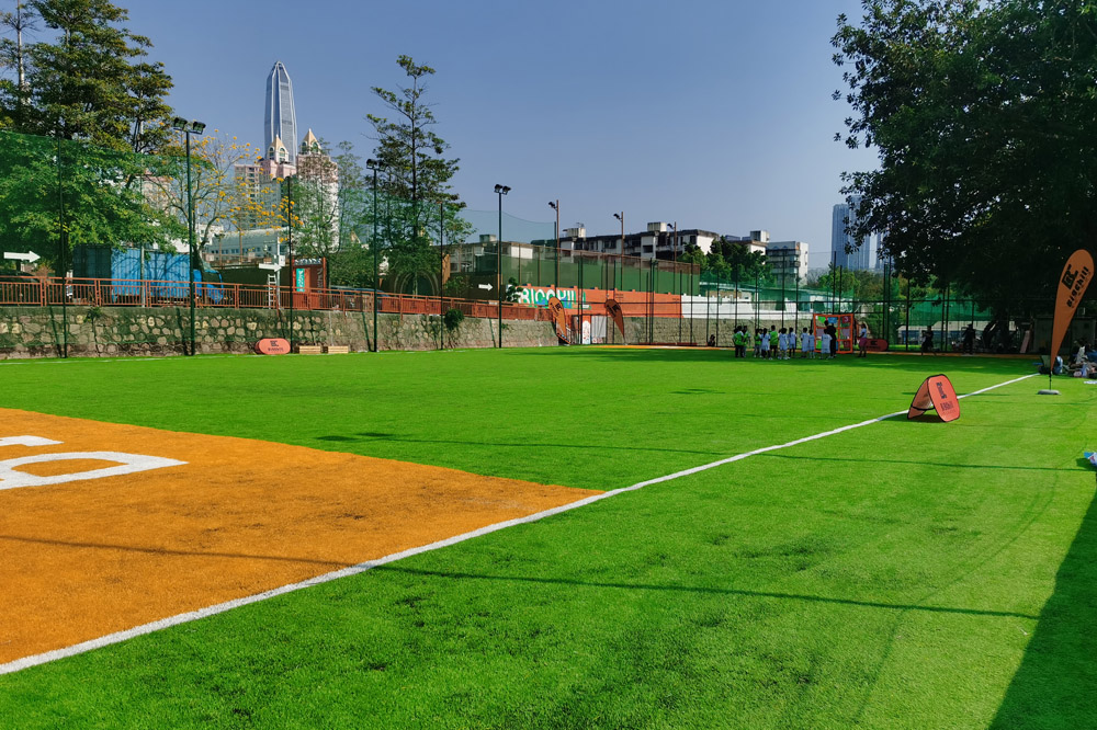 飛盤，橄欖球場