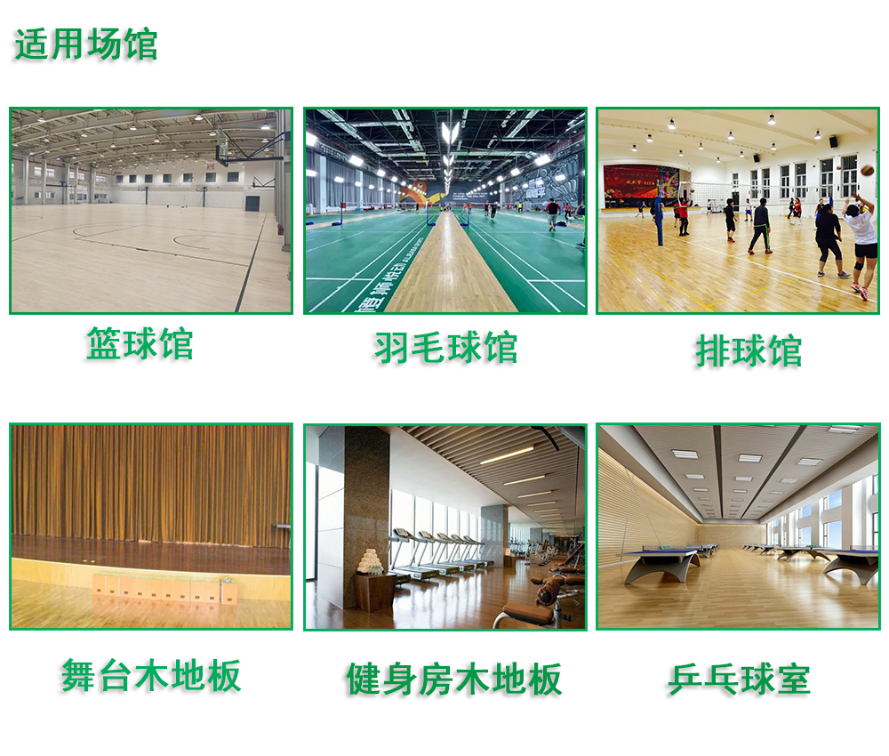 室內木地板籃球場 室內木地板籃球場