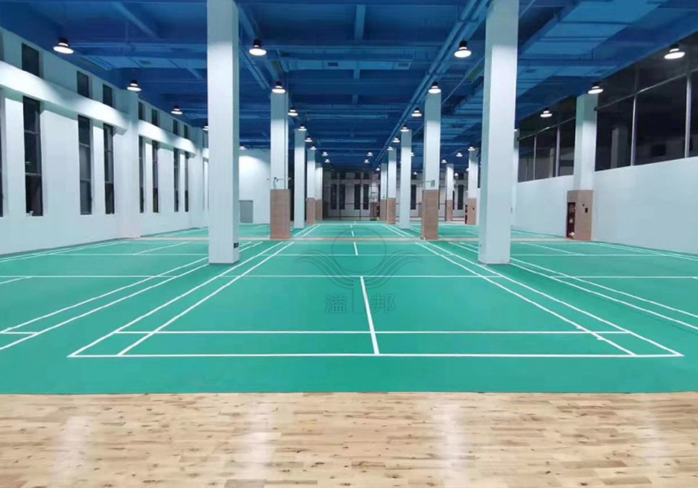 室內羽毛球館 室內羽毛球館