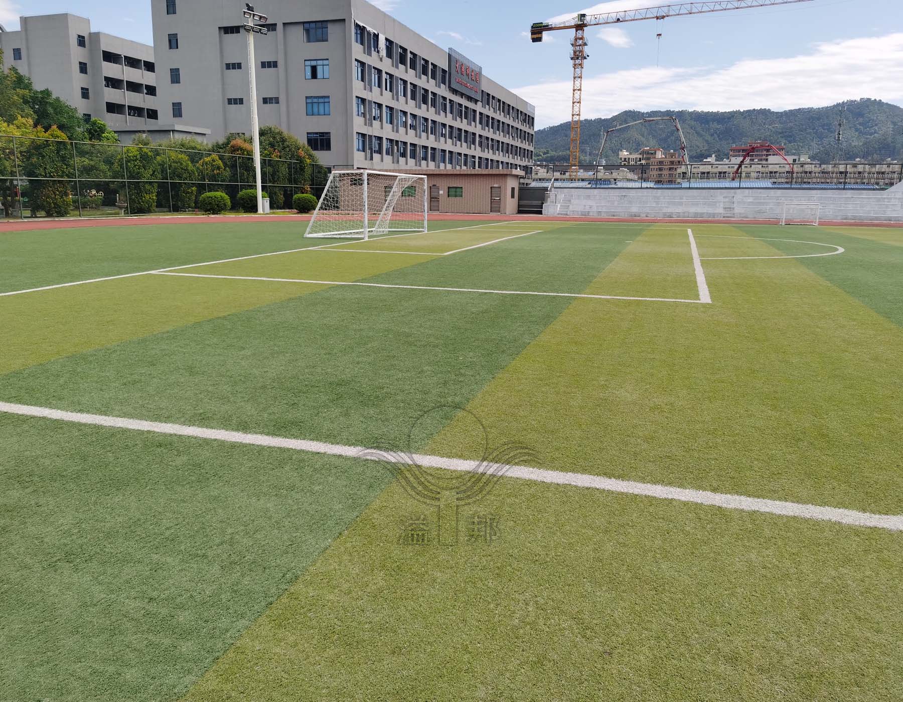 偽劣人造草的刺鼻味道及危害